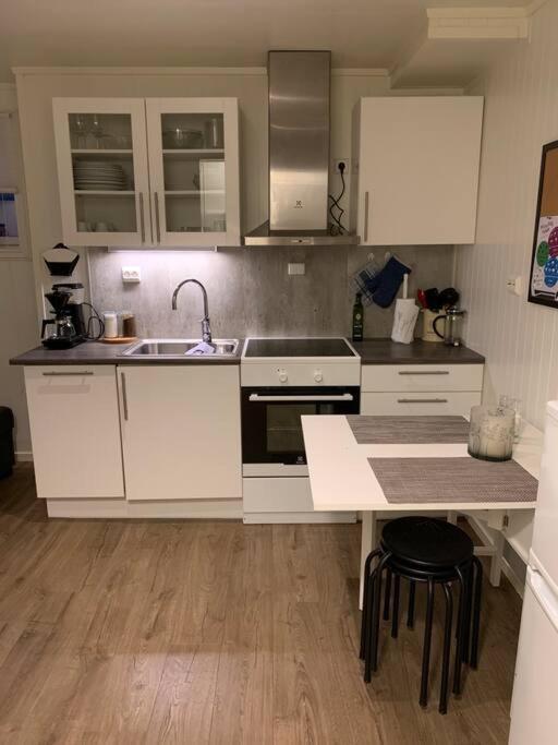 Gimle Cozy Apartment 特罗姆瑟 外观 照片